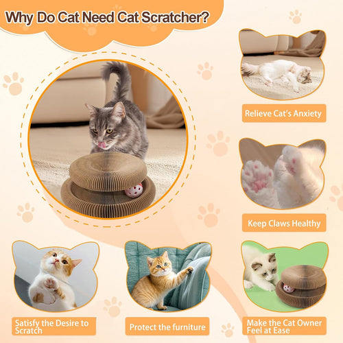 Cat Scratcher Board Foldable with Bell Ball, Magic Organ Cat Toy